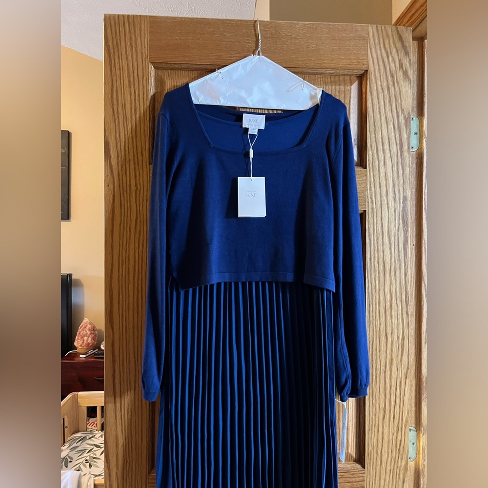 Seraphine Luxe Maternity Dress size 10